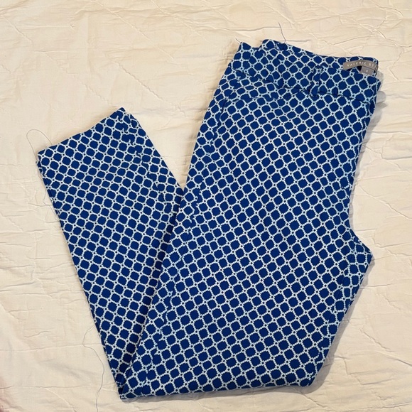 Valerie Stevens Blue and White Patterned Skinny Pants - Picture 1 of 7